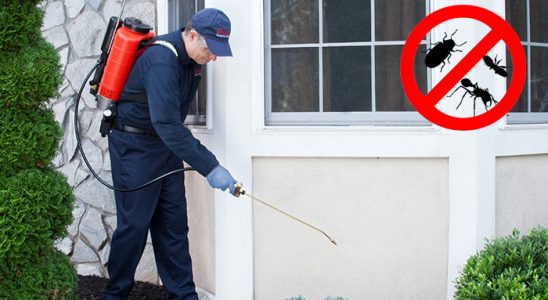 Alaçam Gümüşkurt İlaçlama böcek ilaçlama ve haşere kontrolü — ilaclama-tr.com